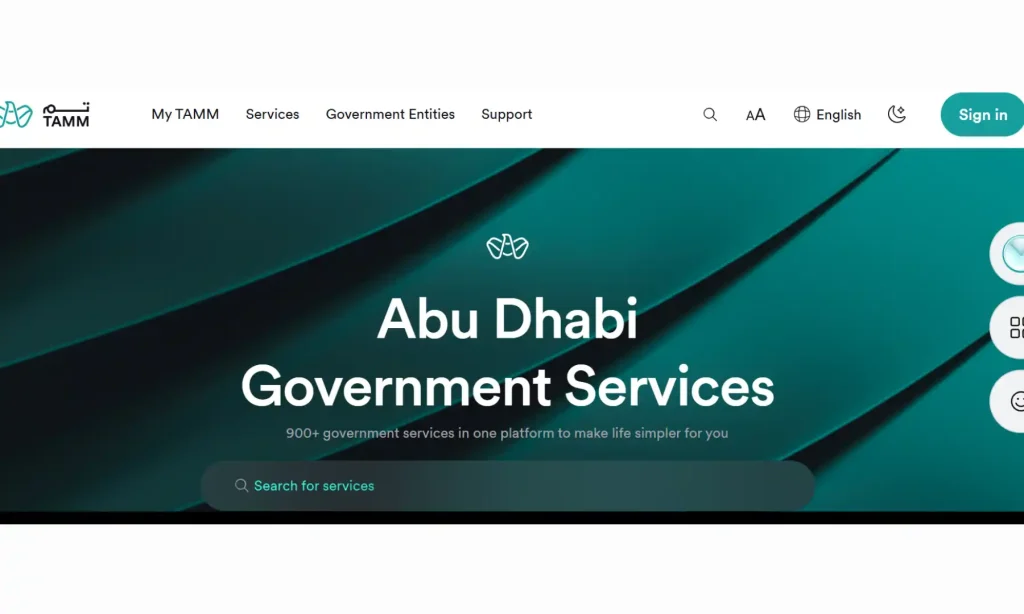 Steps to Check Accident History (TAMM)